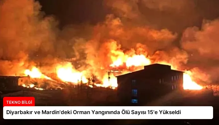Diyarbakır ve Mardin’deki Orman Yangınında Ölü Sayısı 15’e Yükseldi
