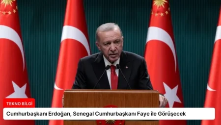 Cumhurbaşkanı Erdoğan, Senegal Cumhurbaşkanı Faye ile Görüşecek