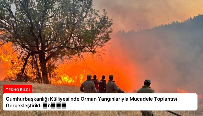 Cumhurbaşkanlığı Külliyesi’nde Orman Yangınlarıyla Mücadele Toplantısı Gerçekleştirildi ⏬👇