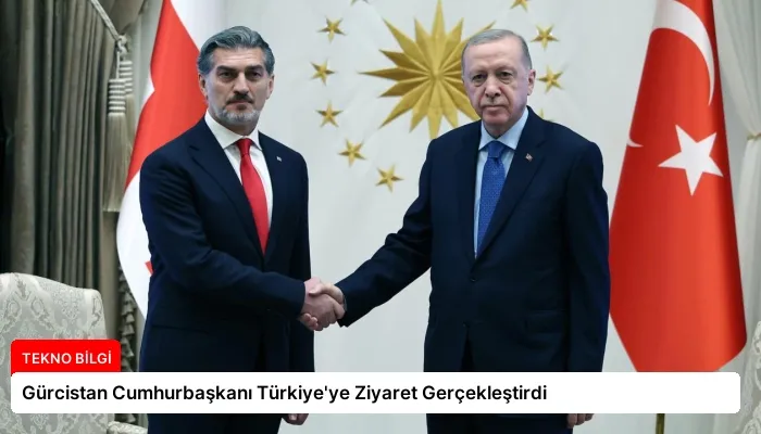 Gürcistan Cumhurbaşkanı Türkiye’ye Ziyaret Gerçekleştirdi