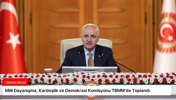 Milli Dayanışma, Kardeşlik ve Demokrasi Komisyonu TBMM’de Toplandı