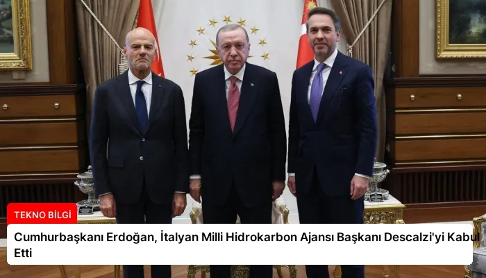 Cumhurbaşkanı Erdoğan, İtalyan Milli Hidrokarbon Ajansı Başkanı Descalzi’yi Kabul Etti