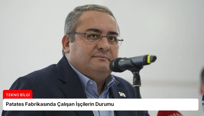 Patates Fabrikasında Çalışan İşçilerin Durumu