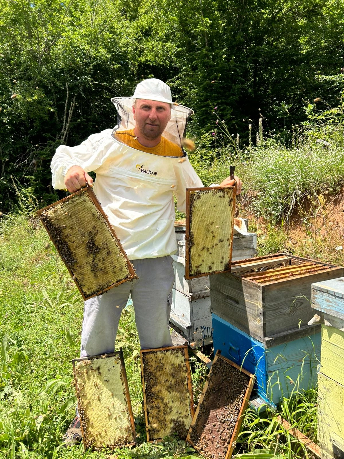 Doğal Bal Neden Daha Fazla Tercih Ediliyor