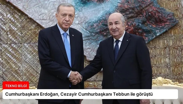 Cumhurbaşkanı Erdoğan, Cezayir Cumhurbaşkanı Tebbun ile görüştü