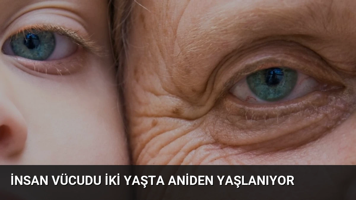 İnsan vücudu iki yaşta aniden yaşlanıyor