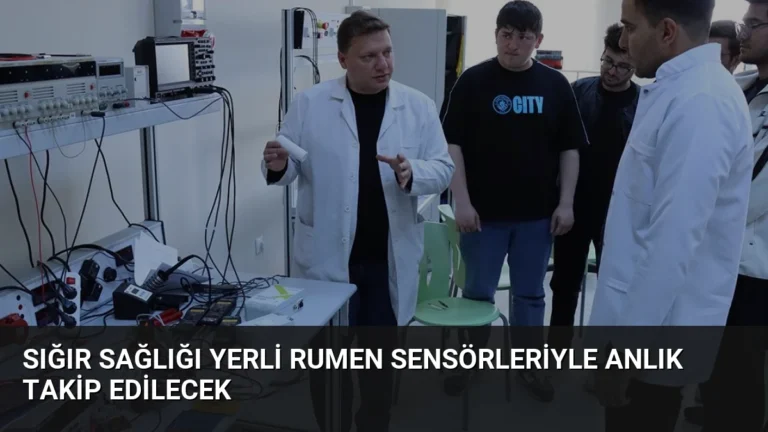Sığır Sağlığı Yerli Rumen Sensörleriyle Anlık Takip Edilecek