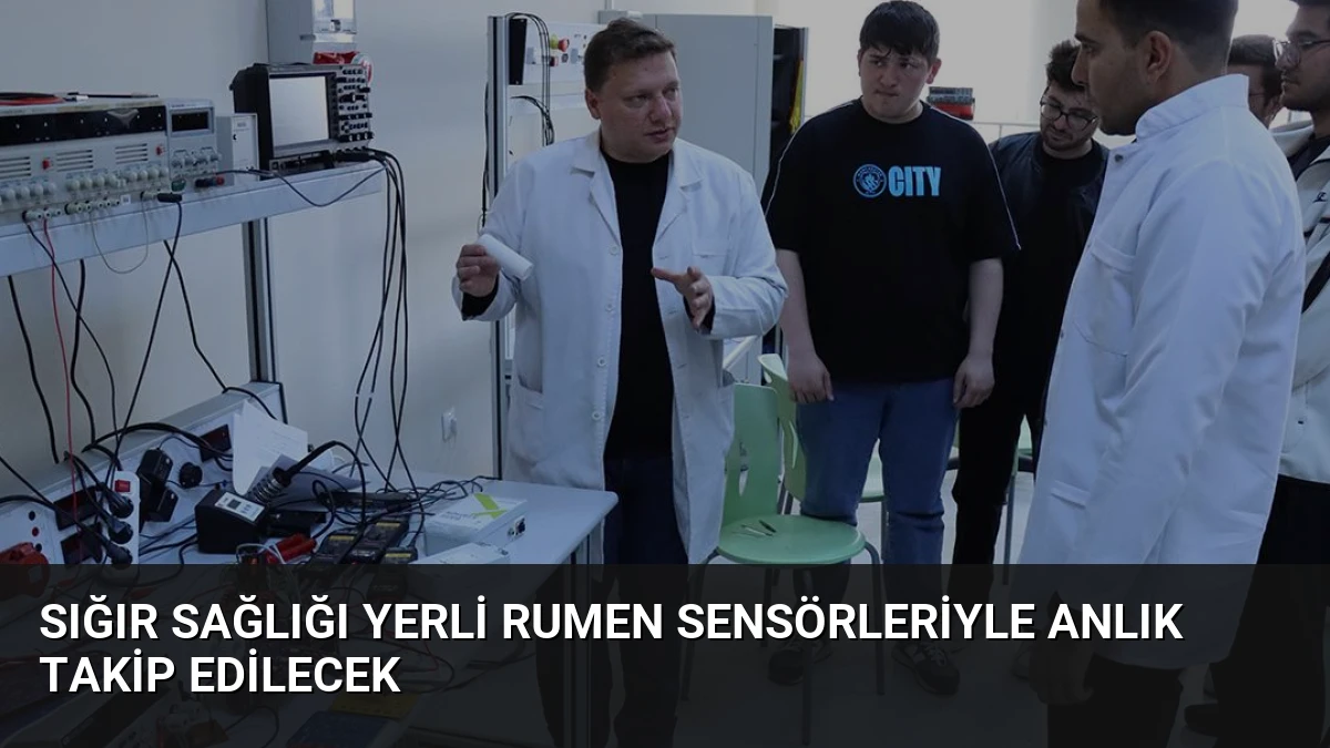 Sığır Sağlığı Yerli Rumen Sensörleriyle Anlık Takip Edilecek