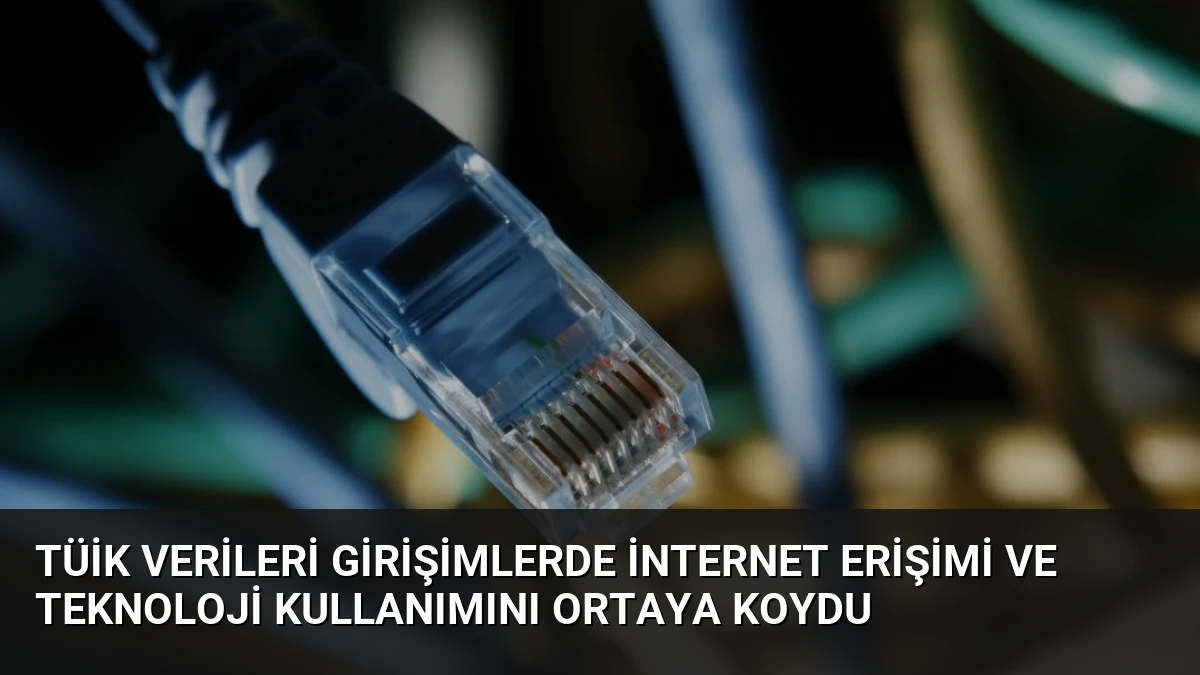 TÜİK Verileri Girişimlerde İnternet Erişimi ve Teknoloji Kullanımını Ortaya Koydu